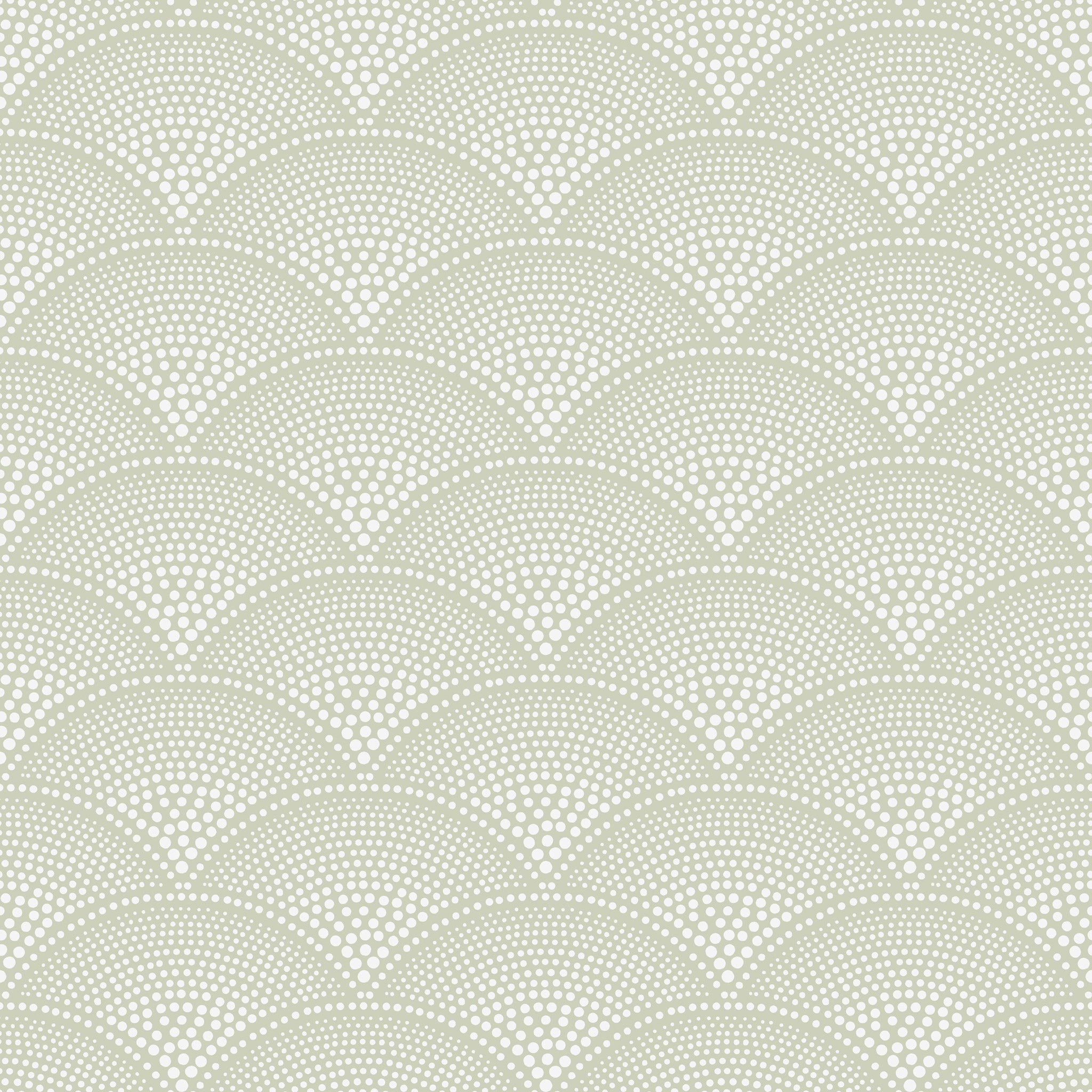 Cole and Son 'Feather Fan' Wallpaper 112/10037