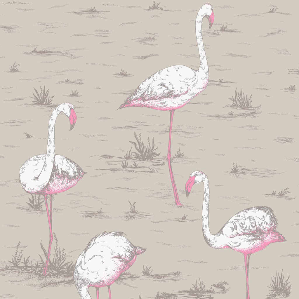 Cole & Son 'Flamingos' Fabric F111/3011