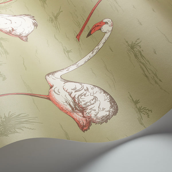 Cole and Son 'Flamingos' Wallpaper 112/11038 Detail