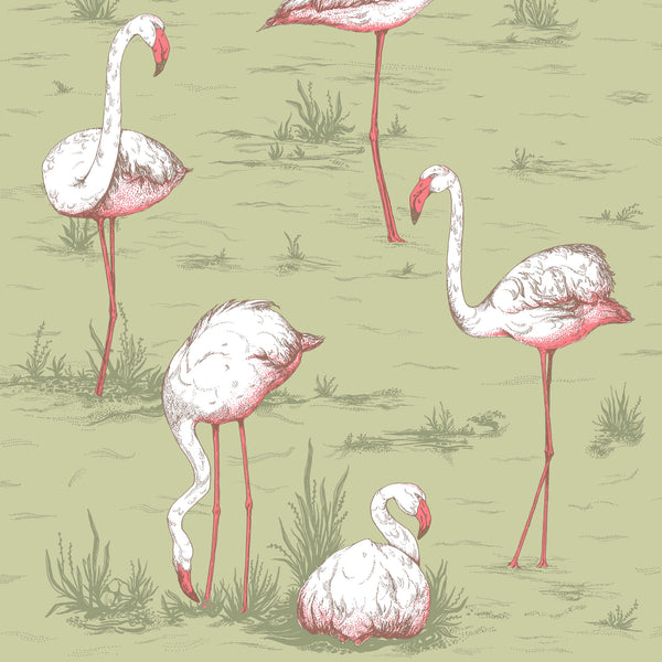 Cole and Son 'Flamingos' Wallpaper 112/11038