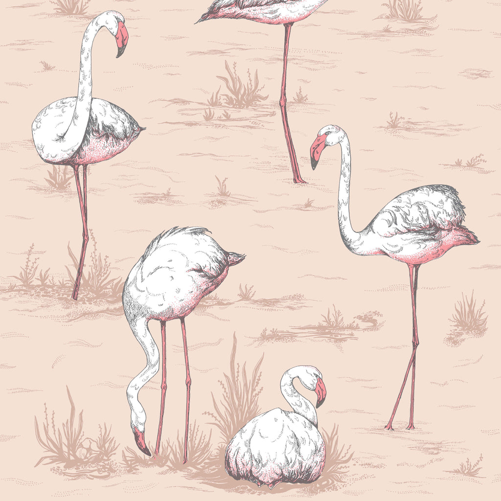 Cole and Son 'Flamingos' Wallpaper 112/11039