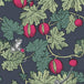 Cole and Son x Fornasetti 'Frutto Proibito' Wallpaper 114/1001 