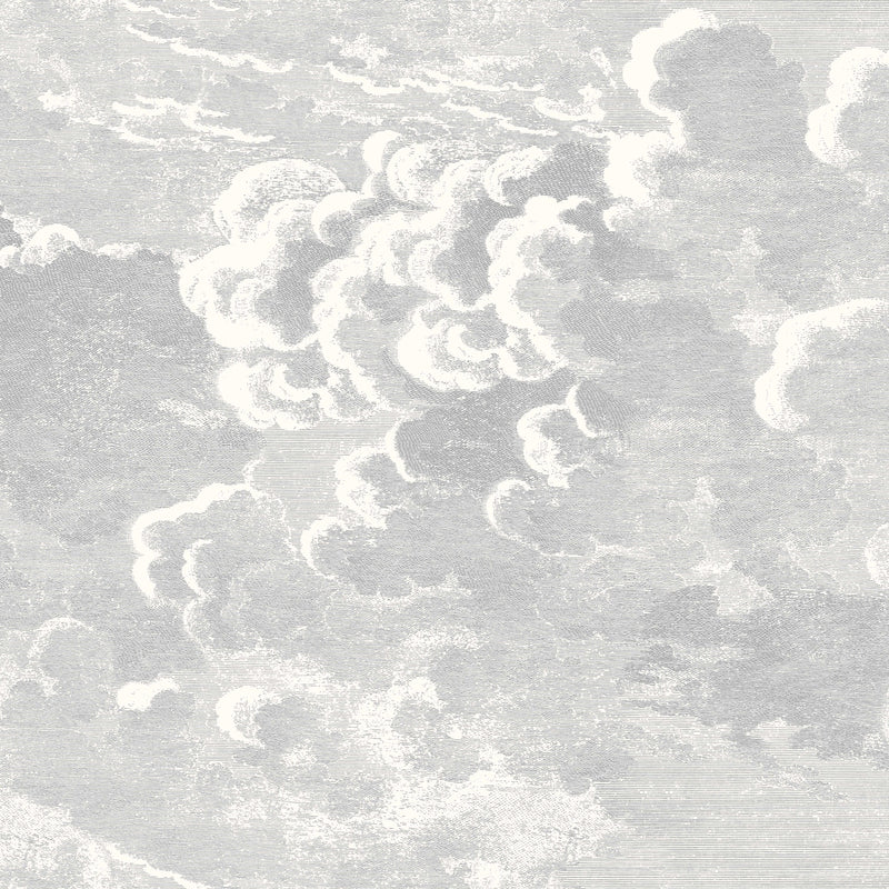 MahonesWallpaperShop on Twitter Cole and Sons Nuvolette wallpaper is one  of our best sellers This large scale cloud print has intricate details  throughout the whole pattern Use code CANDS for an additional