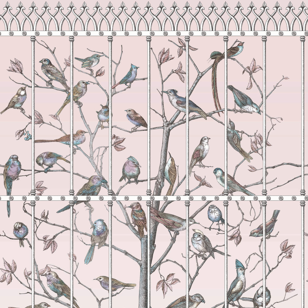 Cole and Son Fornasetti 'Uccelli' Wallpaper 114/11022