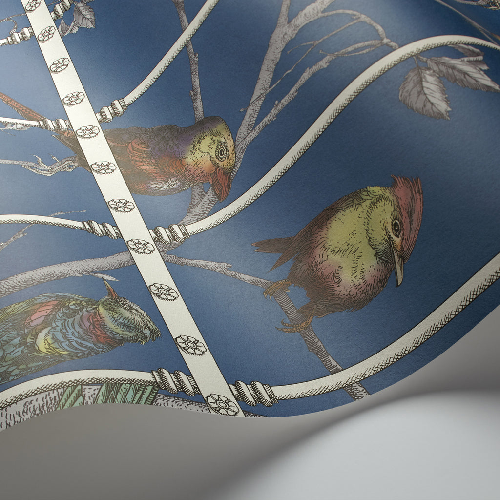 Cole and Son x Fornasetti 'Uccelli' Wallpaper 114/11023 Detail