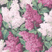 Lilac Wallpaper