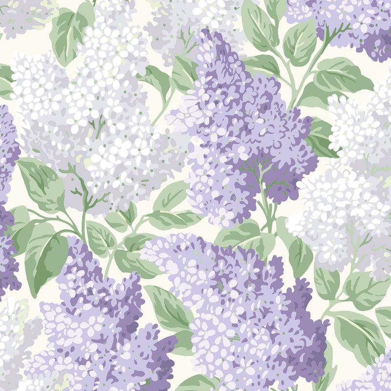 50000 Lilac Background Pictures