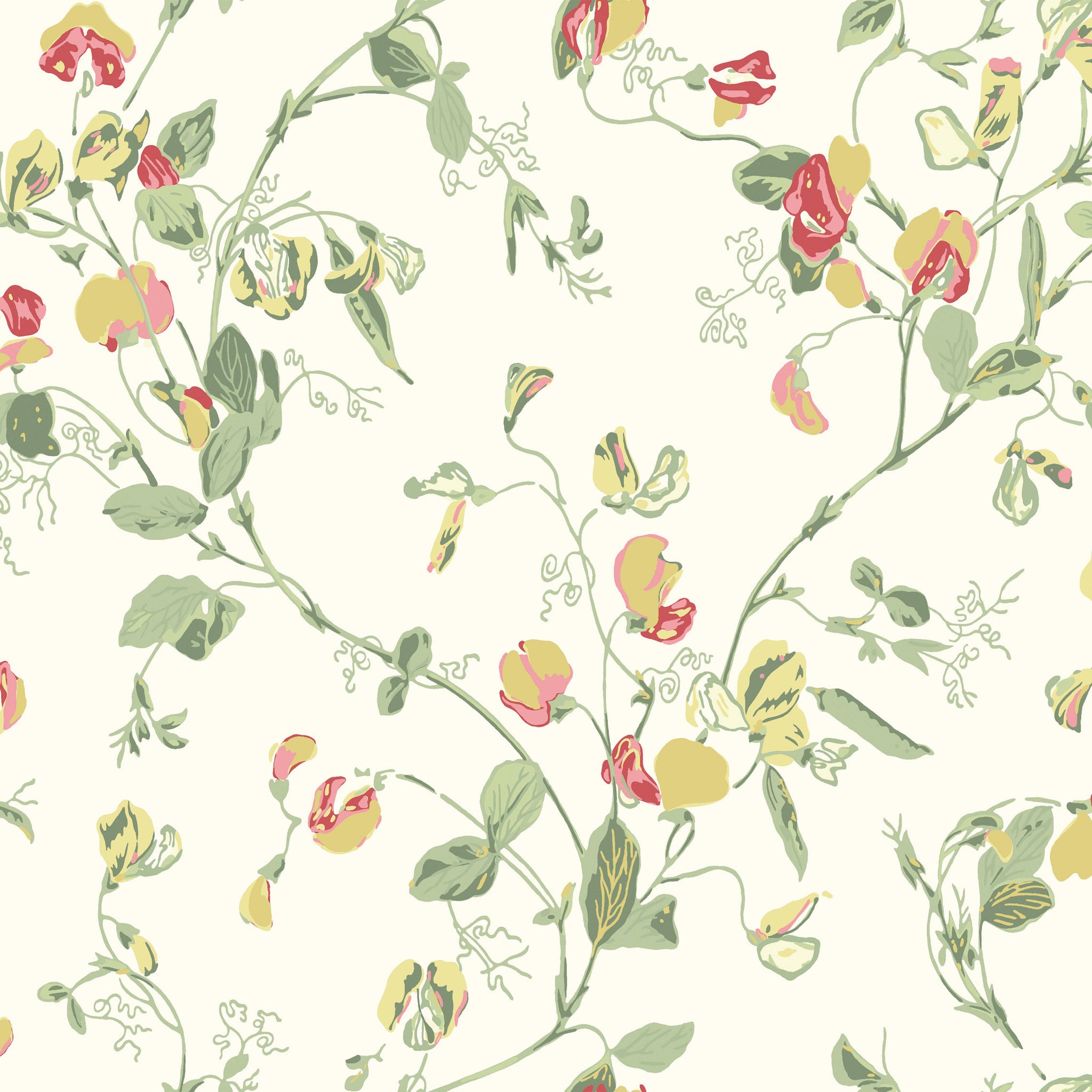 Cole & Son Sweet Pea Wallpaper 100/6027