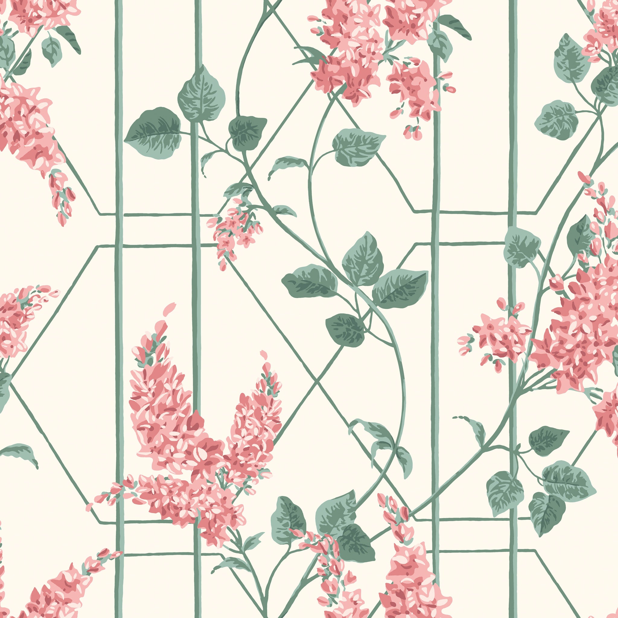 Cole & Son Wisteria Wallpaper 115/5012