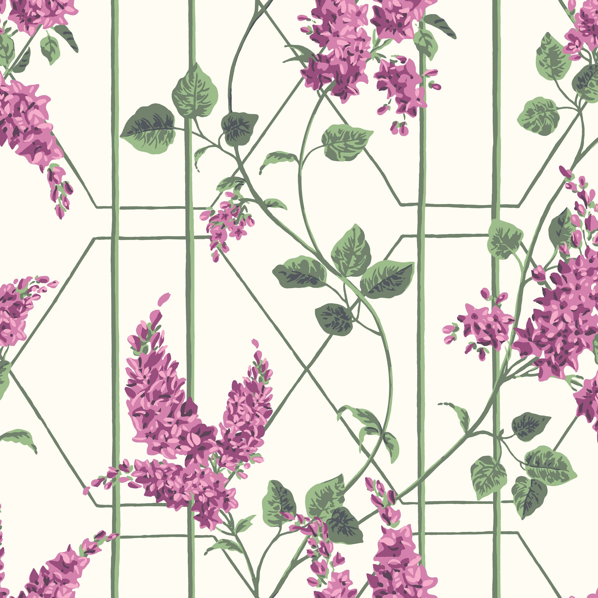 Cole & Son Wisteria Wallpaper 115/5013