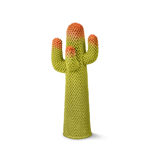 Guframini 'Meta' Cactus Miniature