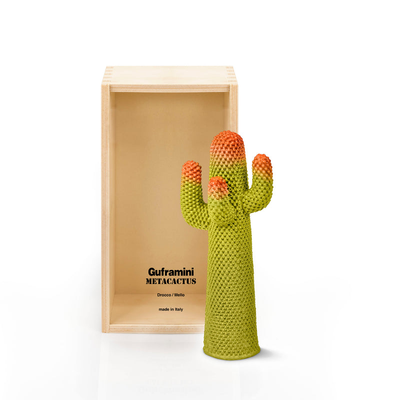 Guframini 'Meta' Cactus Miniature