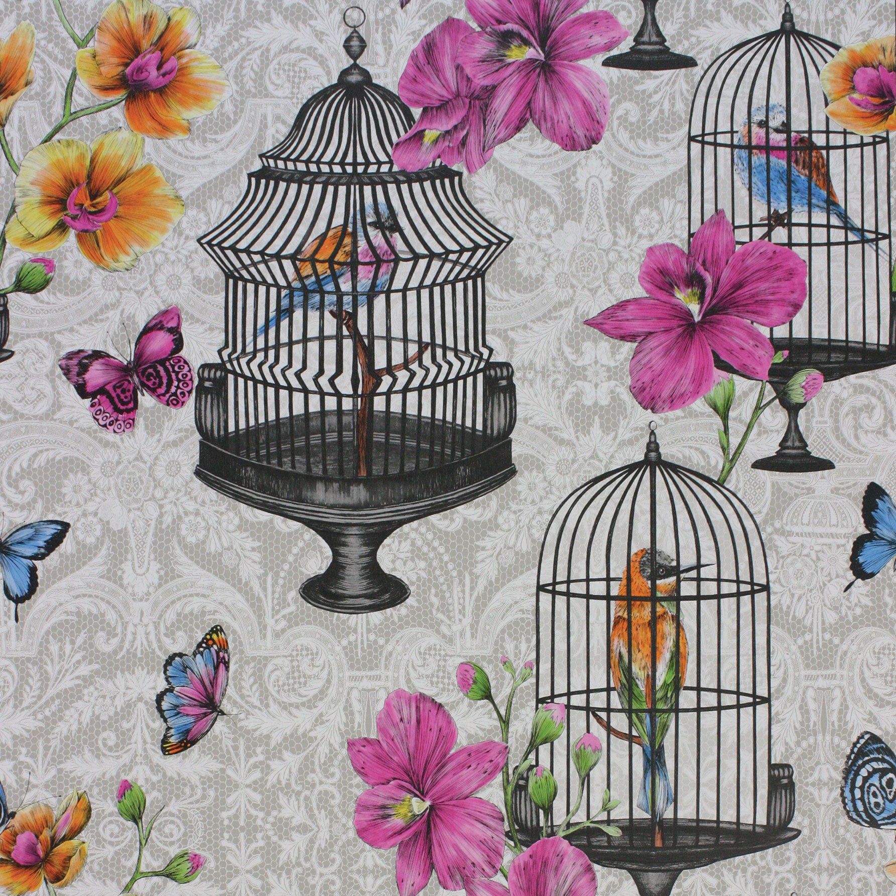 Blue Bird And Birdcage Wallpaper - Products, bookmarks, design, inspiration  and ideas.