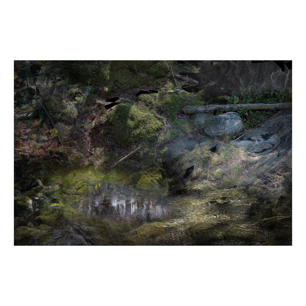 Forest Floors Rug by Front - Landscape 300 x 200cm