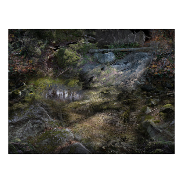 Forest Floors Rug by Front - Landscape 400 x 300cm