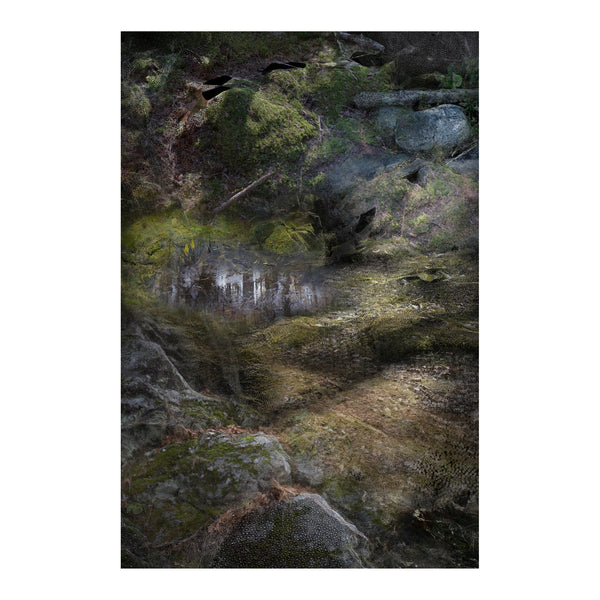 Forest Floors Rug by Front - Portrait 200 x 300cm