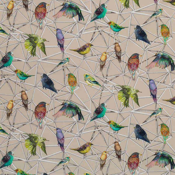 Osborne & Little Aviary Fabric F7011-02