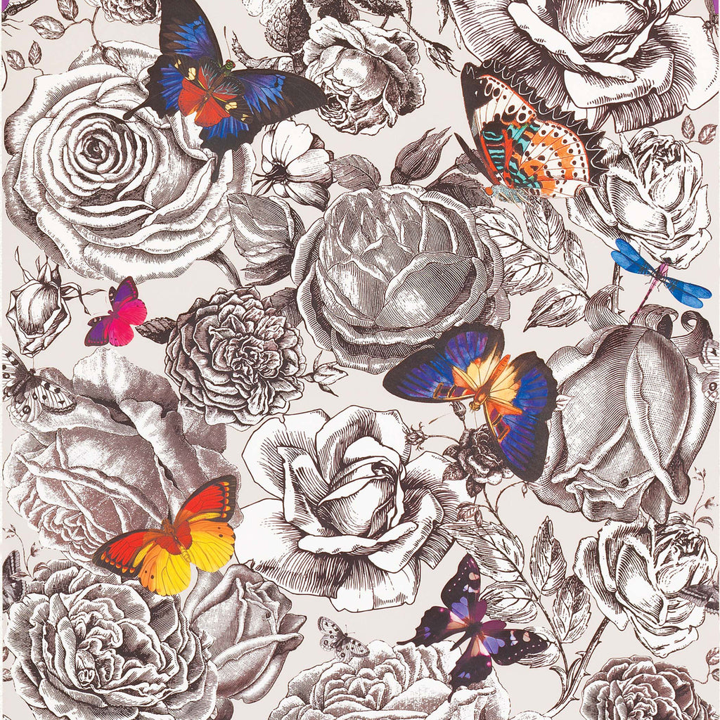 Osborne & Little 'Butterfly Garden' Wallpaper W6592-01