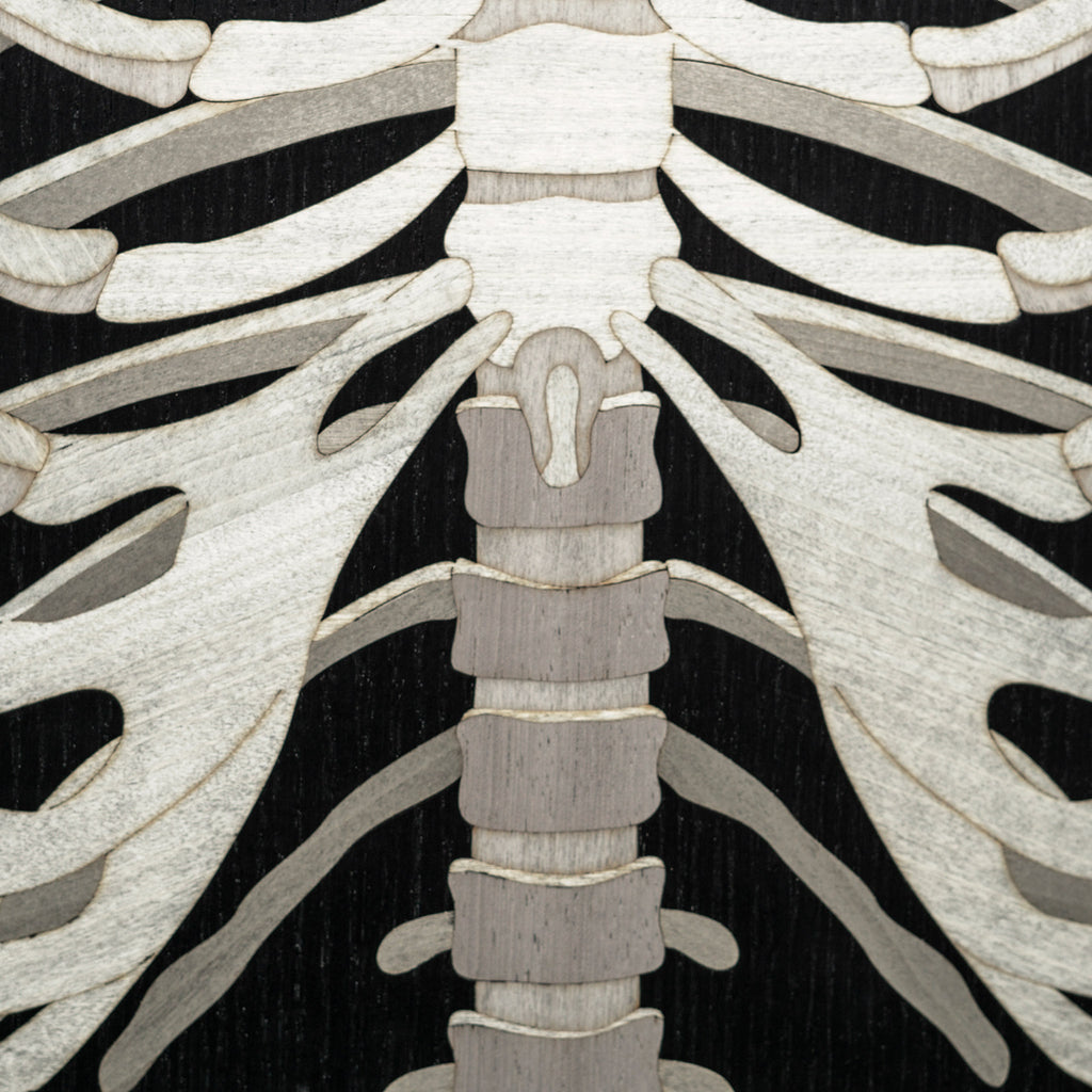 Scapin Collections Skeleton Armchair by Marcantonio Inlay Detail