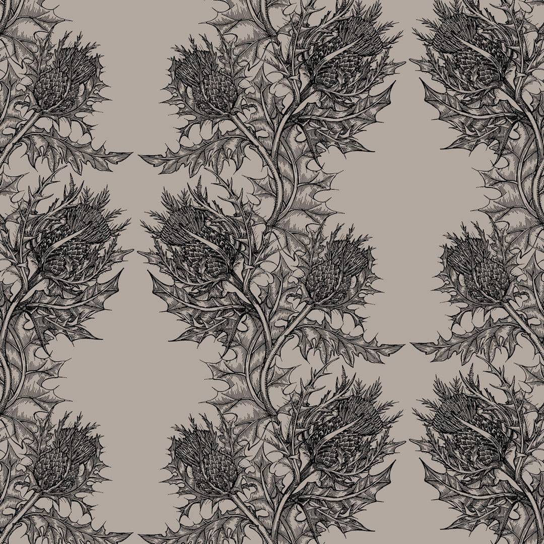 Timorous Beasties 'Thistle' Wallpaper Black on Stone