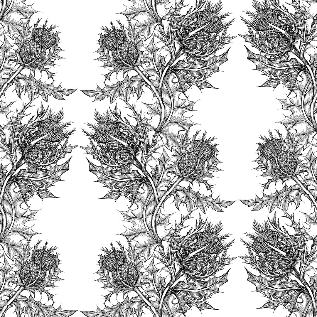 Timorous Beasties 'Thistle' Wallpaper Black on White