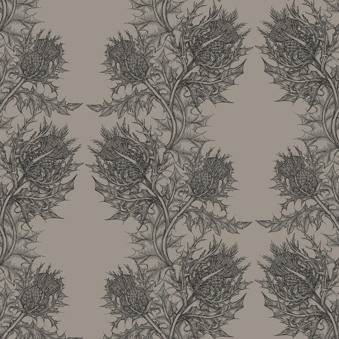 Timorous Beasties 'Thistle' Wallpaper Slate on Grey