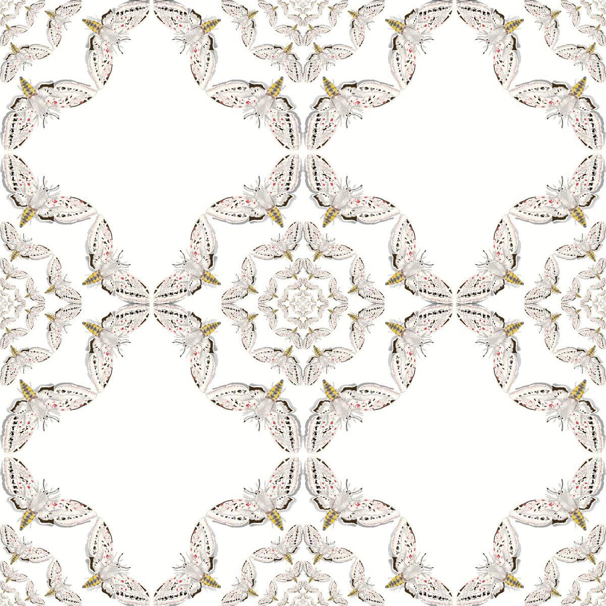 Timorous Beasties 'White Moth Circle' Wallpaper