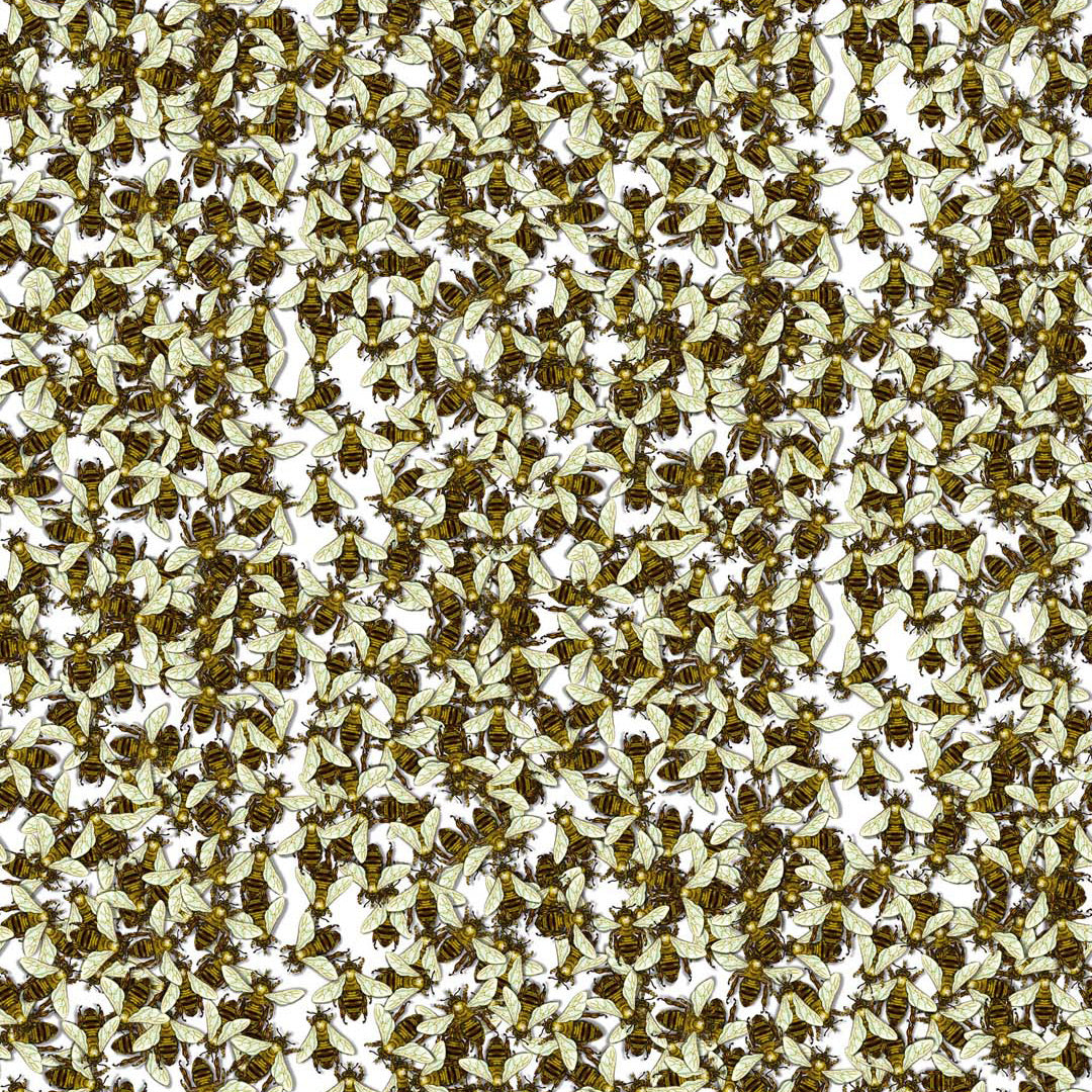 Timorous Beasties 'Wild Honey Bee Allover' Wallpaper