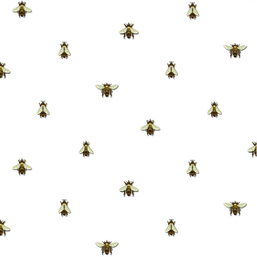 Honey Bee Honey Bee Jar PNG Clipart Bee Cartoon Computer Wallpaper  Drawing Encapsulated Postscript Free PNG